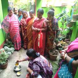 Nutrition garden